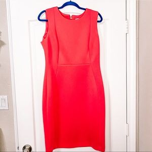 Sz 12 Calvin Klein hot pink shift dress.
